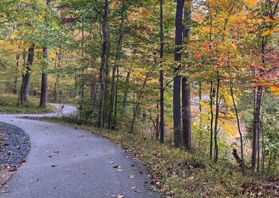 Fall Pathway