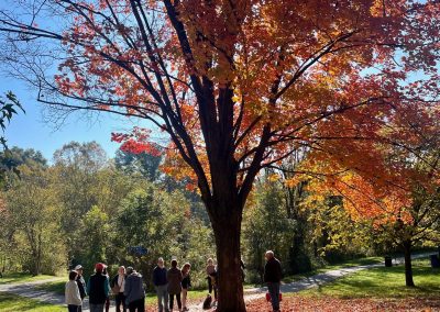 Fall